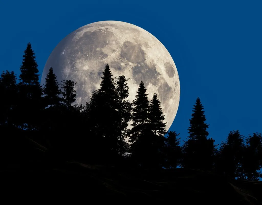 igor-omilaev-9C_ozWrnkuk-unsplash